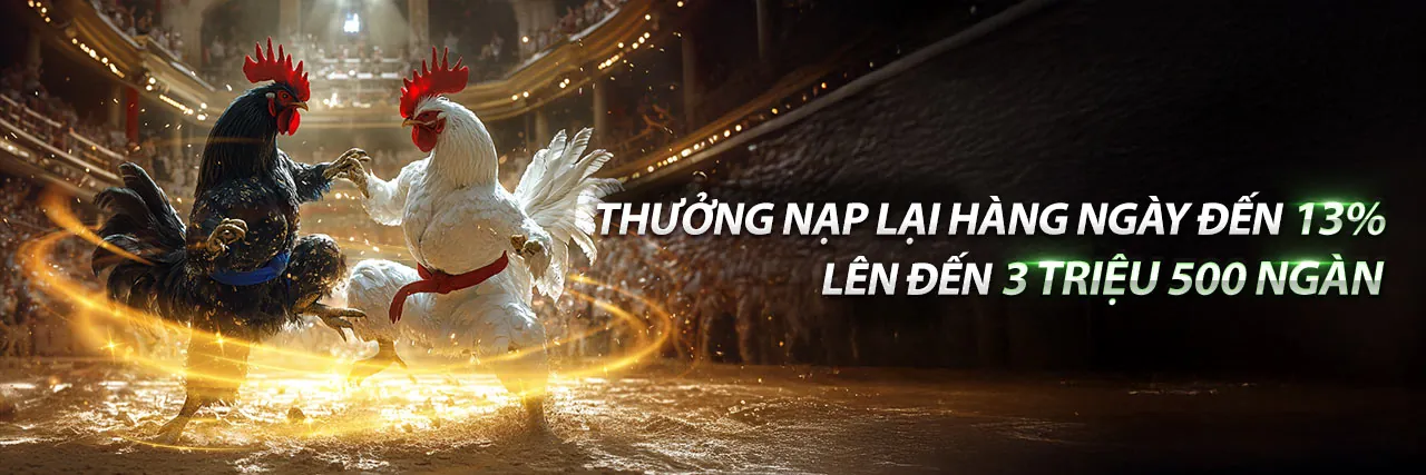Đá gà trực tuyến tại qq888 win
